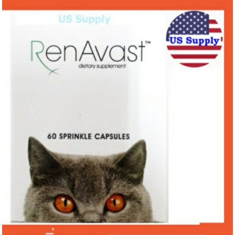 +พร้อมส่ง+ RenAvast CAT [Exp.04/2026] อาหารเสริม บำรุงไตแมว (ล็อตใหม่)