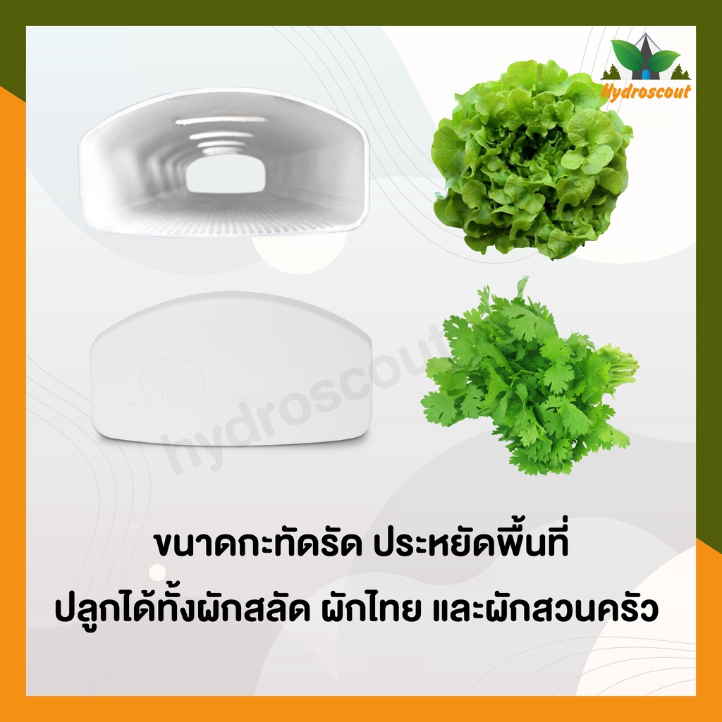 รางปลูกผักไฮโดรโปนิกส์ ยาว 1 เมตร พร้อมฝาปิดรางปลูก by hydroscout - รูปที่ 2