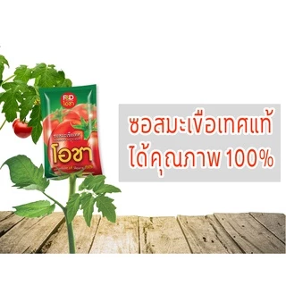 ซอสมะเขือเทศ เอฟแอนด์ดี โอชา แบบถุง ขนาด 900 กรัม - F&D Ocha Tomato Ketchup
