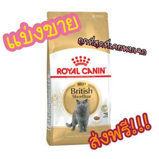 อาหารแมว โรยอล คานิน 1.5kg แบ่งขาย royal canin british persian adult,Neez+ แบ่งขาย เปอร์เซีย บริติช