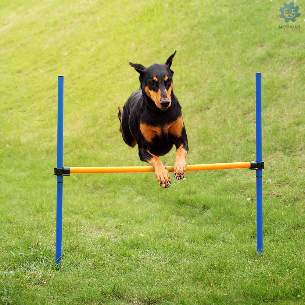 cod-outdoor-pet-dog-agility-sports-games-training-equipment-dogs-jump