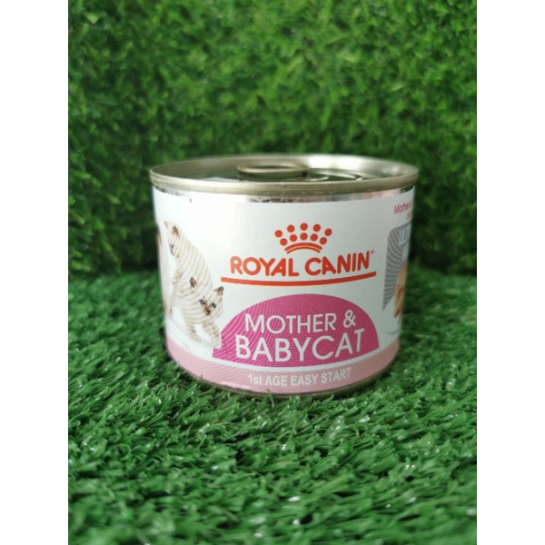 Royal canin อาหารเปียกลูกแมว