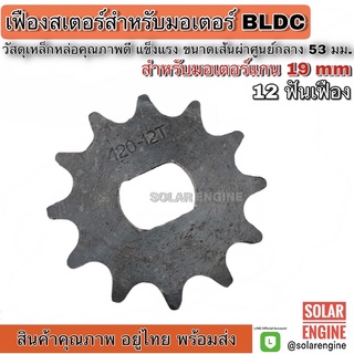 เฟืองมอเตอร์ 12 ฟัน เส้นผ่านศูนย์กลางแกน 19mm ขนาด 53mm (เฟืองมอเตอร์บัสเลส, เฟืองจักรยาน)