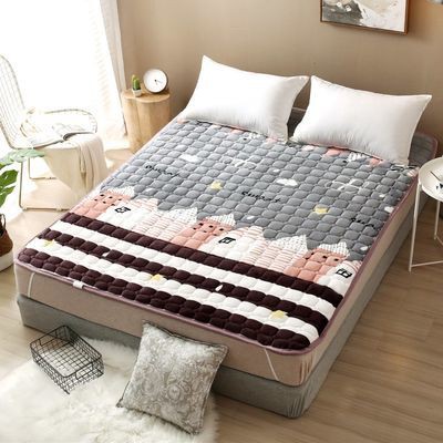 ที่นอนคู่ที่นอนถอดซักได้ 5feet. เสื่อทาทามิ 6feet. ที่นอนหอพักเดี่ยว 3.5feet ที่นอนหอพัก ที่นอนปิคนิ