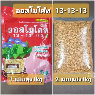 ออสโมโค้ท สูตร 13-13-13 (Osmocote 13-13-13) สูตร3เดือน บำรุงต้น 1kg (1.แบบถุง และ 2.แบบแบ่ง)