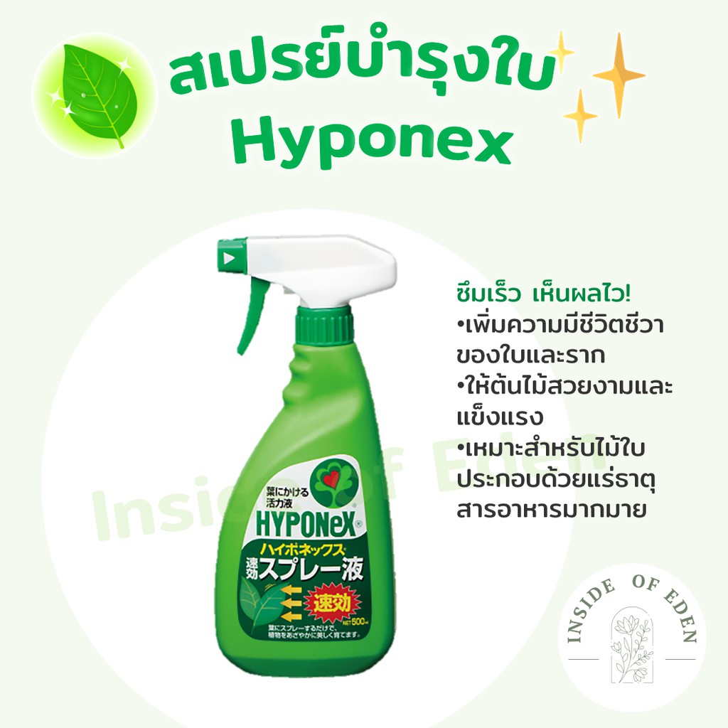 สเปรย์ Hyponex บำรุงใบ บำรุงต้นไม้ เห็นผลไว 500ml Hyponex quick acting Spray