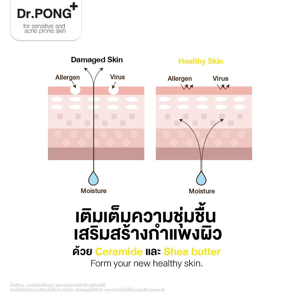 รูปภาพ 6