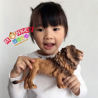 Monkey Toys - โมเดลสัตว์ พ่อสิงโต น้ำตาล ขนาด 23.00 CM (จากหาดใหญ่)