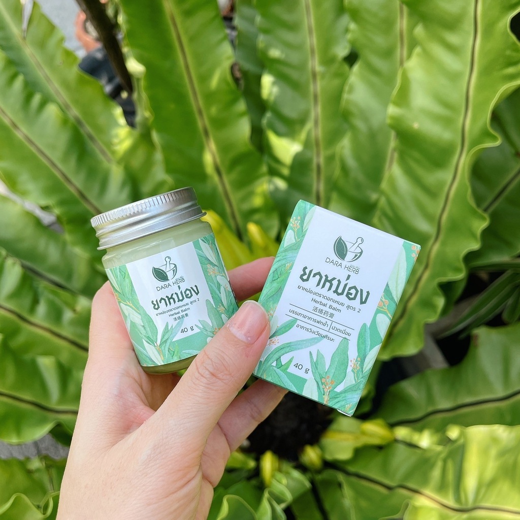 สมุนไพรหม่อง น้ำมันหม่อง ขี้ผึ้ง ตราดอกเหมย (ดาราเฮิร์บ) ขี้ผึ้งนวด ขี้ผึ้งคลายเส้น - รูปที่ 5