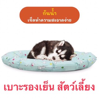 ที่นอน เย็น สัตว์เลี้ยง เบาะรองเย็นสัตว์เลี้ยง Cooling Pad ที่นอนสัตว์เลี้ยง