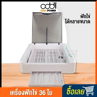 เครื่องฟักไข่อัตโนมัติ 36 ฟอง  CD56 ตู้ฟักไข่ ตู้อบไข่ ฟักไข่ได้หลายขนาด ไข่ไก่ ไข่ห่าน ไข่นกกระทา