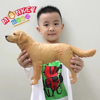 Monkey Toys - โมเดลสัตว์ หมาโกลเดน แบบนิ่ม ขนาด 35.00 CM (จากหาดใหญ่)