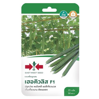 เมล็ดพันธุ์บวบเหลี่ยม F1 เฮอคิวลิส ANGLED LOOFAH SEED F1 SORNDAENG HERCULES