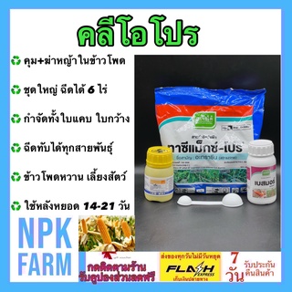 คลีโอโปร ( โทพรามีโซน+อะทราซีน ) ชุดใหญ่ 6 ไร่ คุม - ยาฆ่าหญ้าในข้าวโพด ทุกสายพันธุ์ ฉีดทับข้าวโพดได้ ปลอดภัย