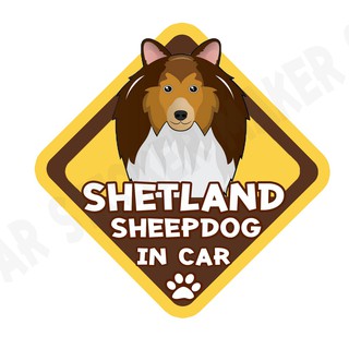 สติกเกอร์ติดรถ สติ๊กเกอร์ติดรถยนต์ สติกเกอร์หมา DGA182  Shetland Sheepdog