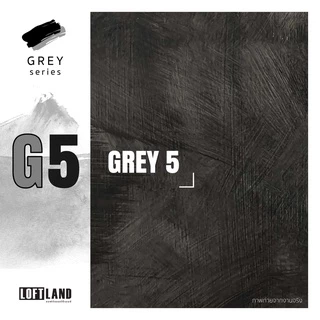 สีลอฟท์ Grey Series 1-6 เฉพาะสี
