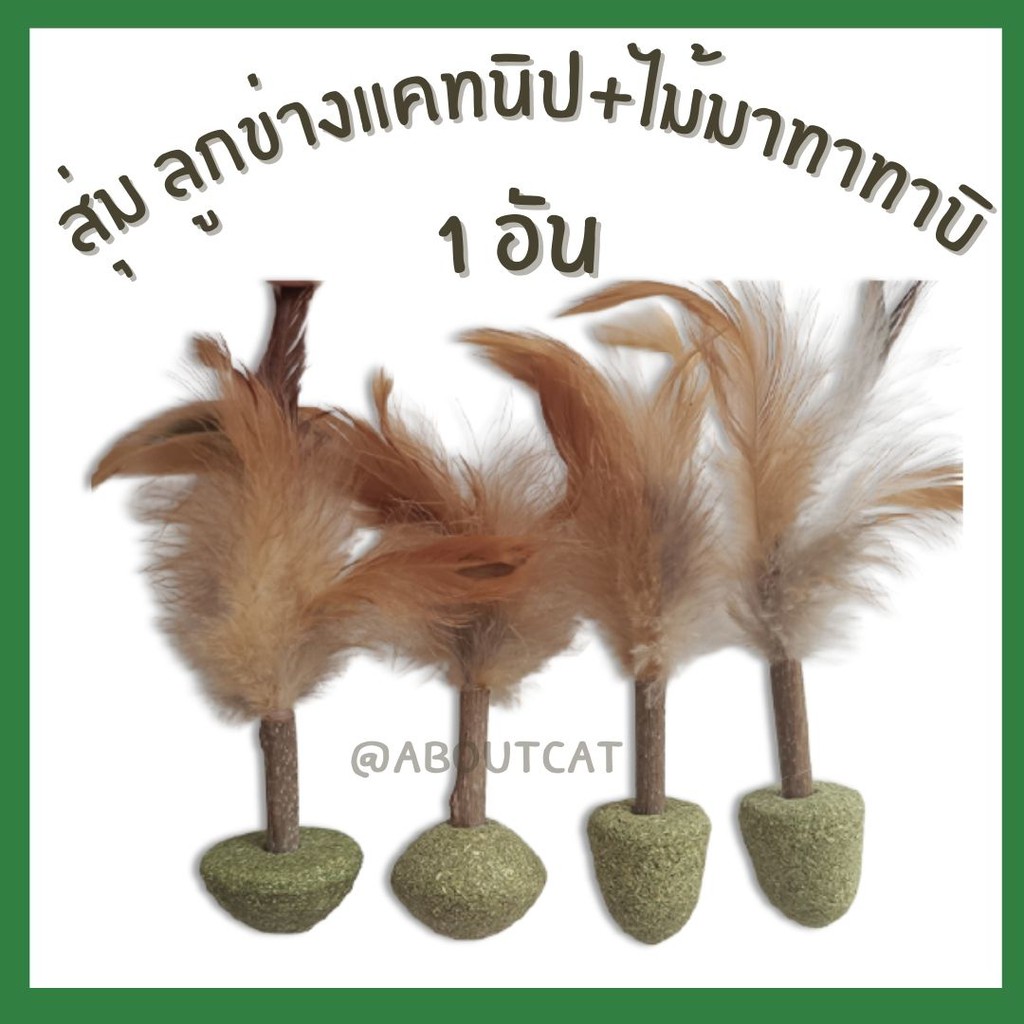 [ABC cat] รวมแคทนิป ไม้มาทาทาบิ ขัดฟันแมว แคทนิปบอลแมว ของเล่นแมว ของเล่นสัตว์เลี้ยง - รูปที่ 7