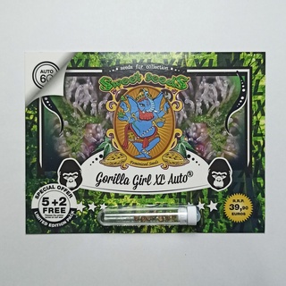 เมล็ดกัญชา Sweet seeds Gorilla Girl XL Auto 7 cannabis seeds