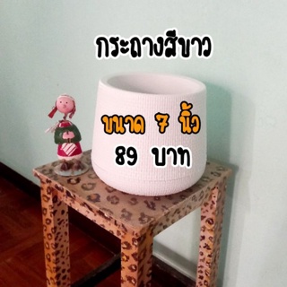 กระถางต้นไม้ กระถาง Minimal กระถางเบลล่า กระถางพลาสติกสีขาว ขนาด 7 นิ้ว