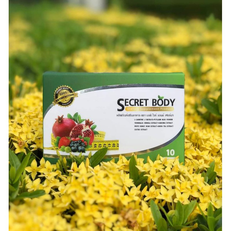 ยาลดน้ำหนัก อาหารเสริมลดน้ำหนักSecreat body
