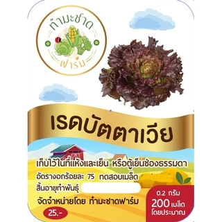 ทำมะชาดฟาร์ม (ซื้อ10แถม1) เมล็ดพันธุ์ เรดบัตตาเวีย ขนาด0.2กรัม ประมาณ200เมล็ด RED BATAVIA ผักสลัด เมล็ดพันธุ์พืช เมล็ด