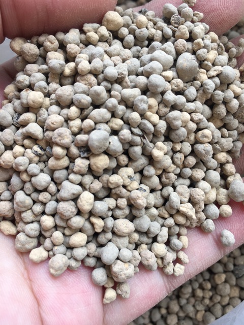 ปุ๋ยอินทรีย์ ชนิดเม็ด เร่งใบ บำรุงต้น ปรับสภาพดิน แบ่งขาย 1 กิโลกรัม (ซีโอไลท์สูตรพิเศษ) - รูปที่ 2