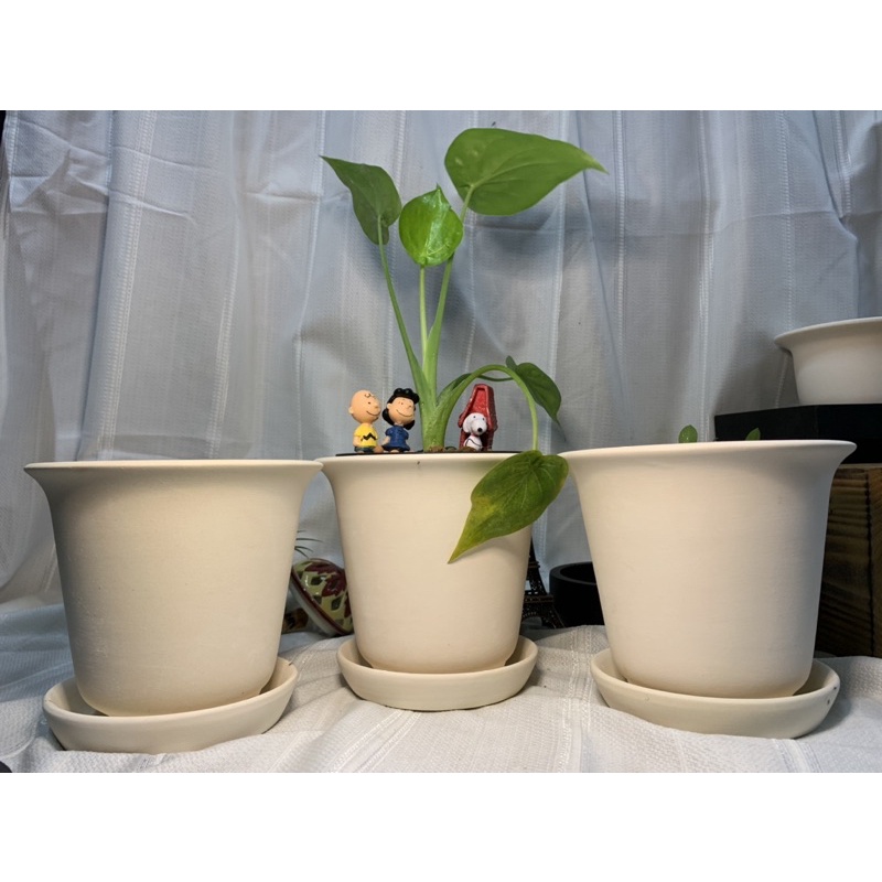 กระถางดินเผาปากแตร 6 นิ้ว เซต 3 ชุด  พร้อมจานรอง