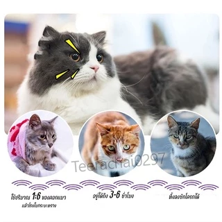 เม็ดดับกลิ่นทรายแมว 6 กลิ่น​ เม็ดดูดกลิ่นในกระบะทราย ที่ระงับกลิ่น