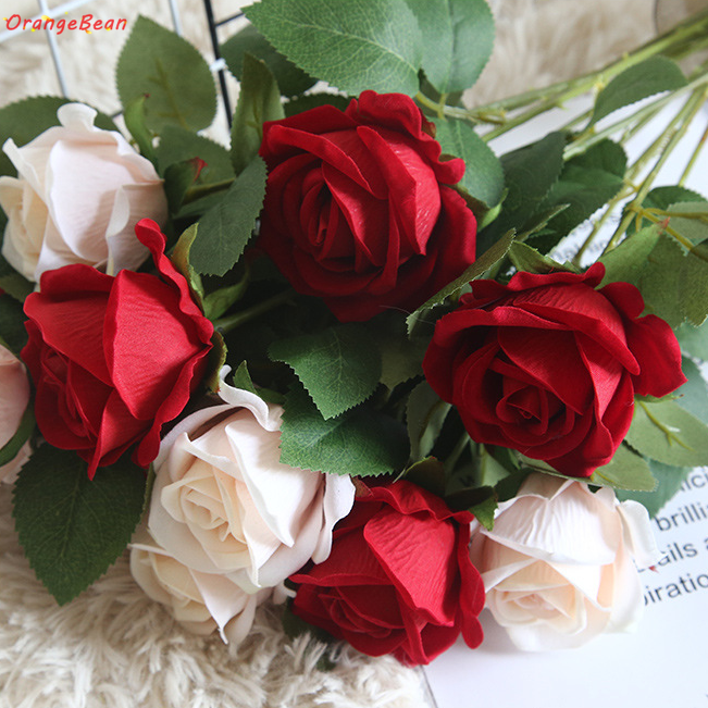 รูปภาพ 7