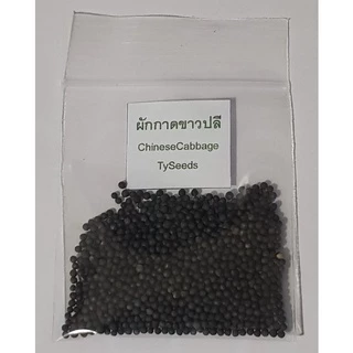 เมล็ดพันธุ์ ผักกาดขาวปลี 1,000 เมล็ด [ 10แถม2 ]คละได้ ]