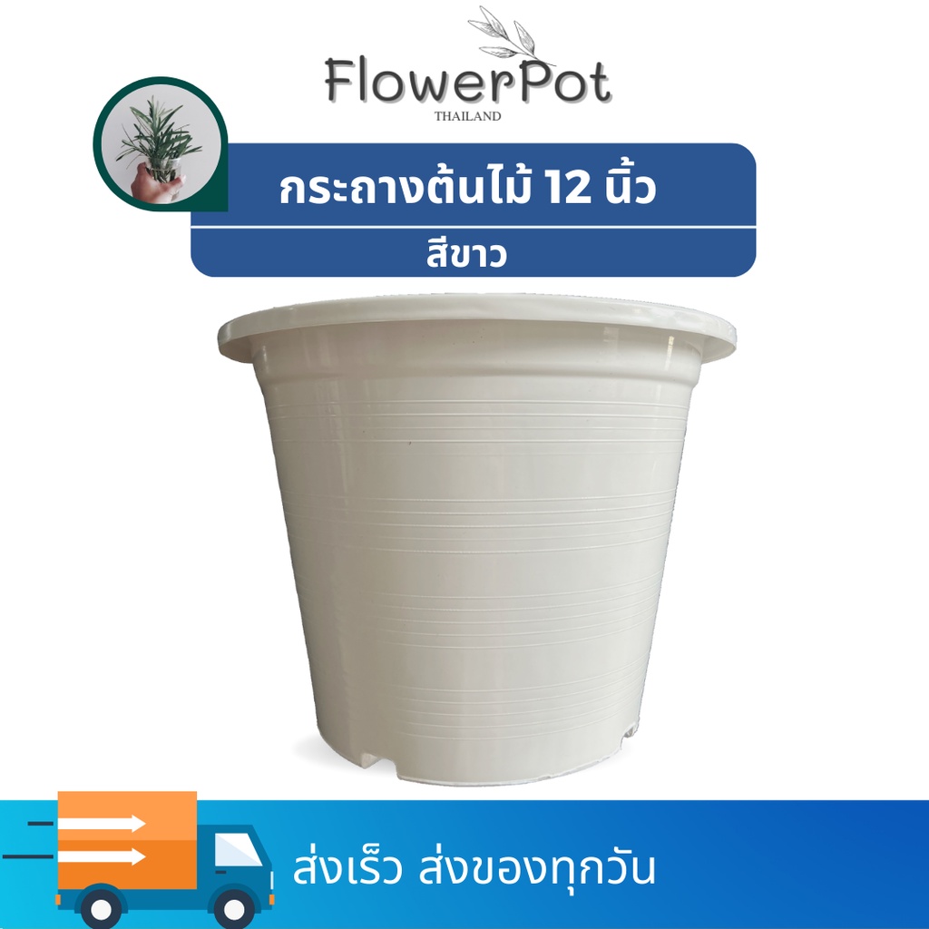 กระถางต้นไม้ 12 นิ้ว จำนวน 1 ใบ สีขาว กระถาง พลาสติก มินิมอล