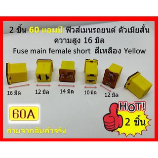 2 ชิ้น 60 แอมป์ ฟิวส์เมนตัวเมีย  Main Fuse ตัวสั้น สูง 16 มิล สีเหลือง Yellow เน้นชำระเงินปลายทาง