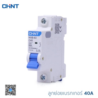 เบรคเกอร์ลูกย่อย เบรกเกอร์ AC Cuve C CHINT  Miniature circuit breaker 1P 10KA Model C แบบเกาะราง รุ่น NXB-63 6kA