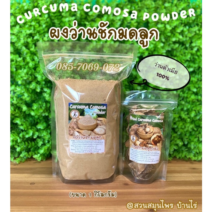 ผงว่านชักมดลูก ตัวเมีย (1 กิโลกรัม) บริสุทธิ์ 100% ไม่ผสมแป้ง&น้ำตาล