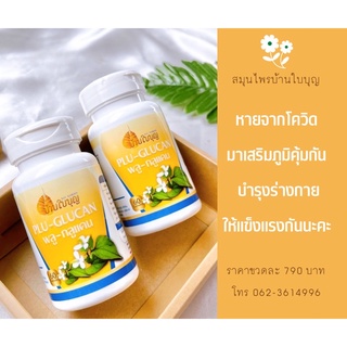 พลู-กลูแคน ช่วยกระตุ้นภูมิ สร้างภูมิต้านทาน มะเร็ง เบาหวาน ความดัน