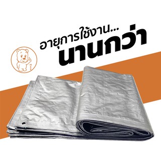 ผ้าใบพลาสติกเกรดเอ ตราหมี สีเงิน ขนาด 2 x 3 เมตร [ขายดี]