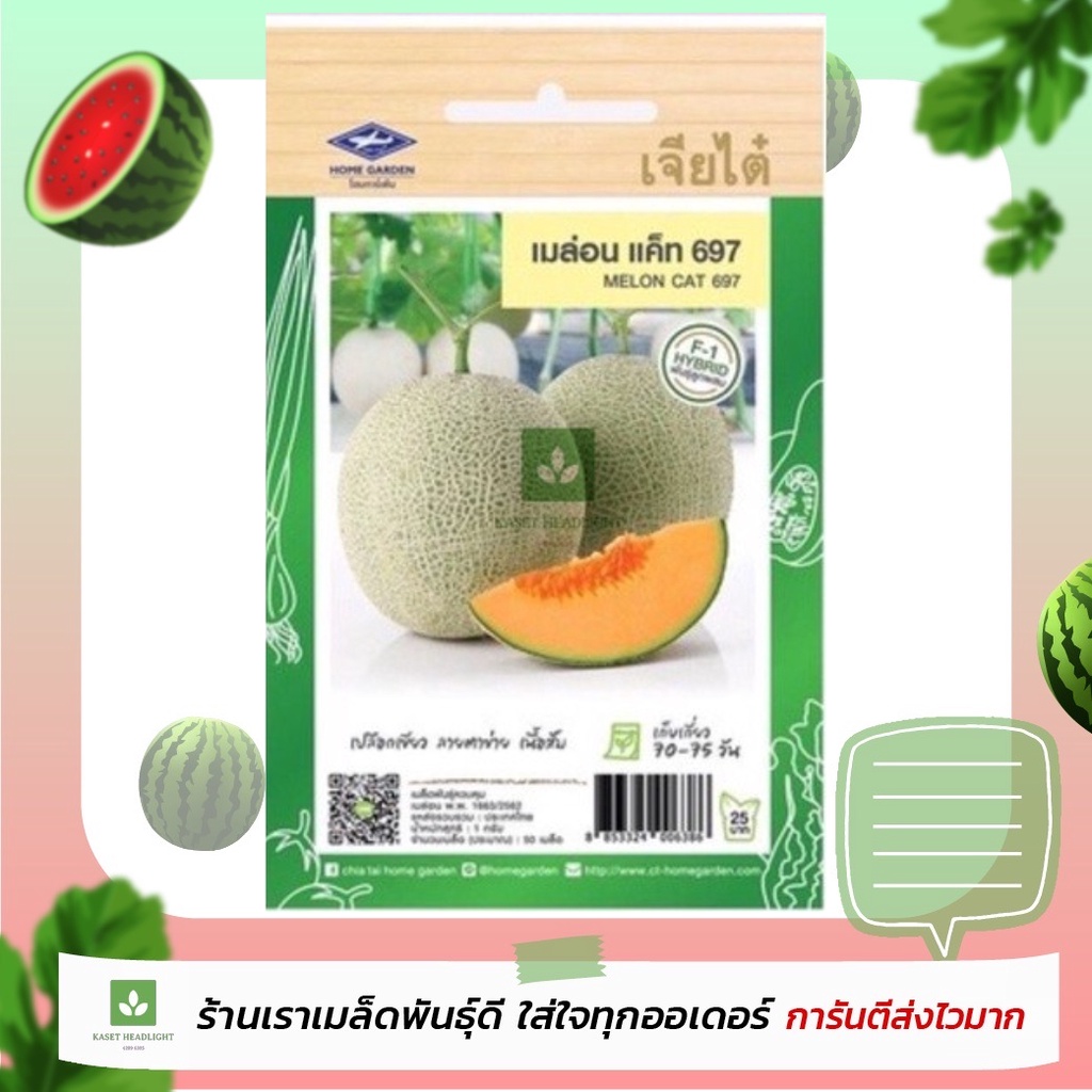 50เมล็ด เมล่อน แคท 697 เจียไต๋ Melon เนื้อสีส้มสวย เมล็ดพันธุ์เมล่อน