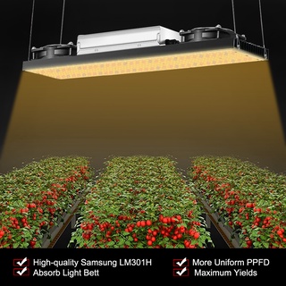 ไฟ LED แบบหรี่แสงได้, ชิป LM301H ของ Samsung, สเปกตรัมเต็ม 2400W, ไฟ Solar Grow, การเติบโตของต้นไม้เร็วขึ้น 2 เท่า