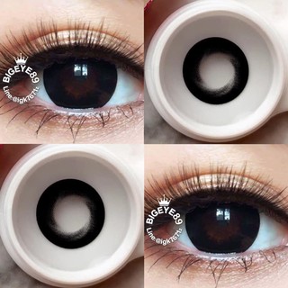 คอนแทคเลนส์ Wink Lens Tornado ค่าสายตา 0.00 ถึง -5.00