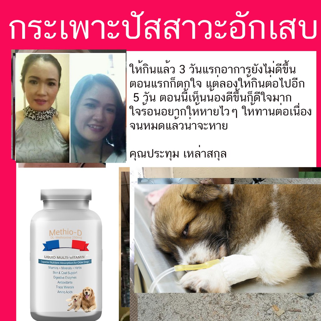 My Image 18