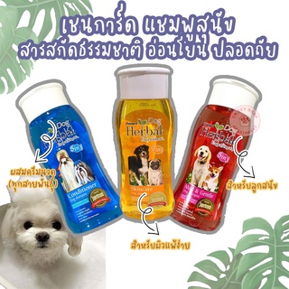 โฉมใหม่❗ เชนการ์ด เฮอร์เบิล เอ็กซ์พีเรียนซ์ ขนาด 500 ml. และ 200 ml