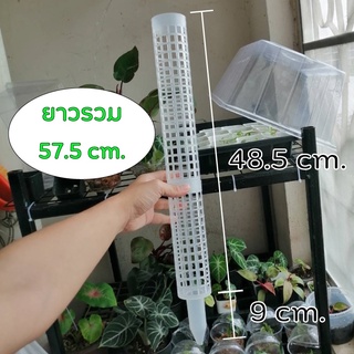 เสาไม้เลื้อย หลักไม้เลื้อย ไม้ค้ำต้นไม้ เสาพลาสติก ยาว 57.5 cm.