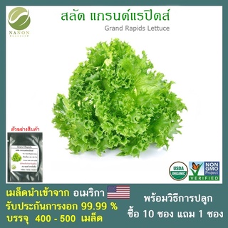 เมล็ดสลัด แกรนด์แรปิดส์ จำนวน 400-500 เมล็ด