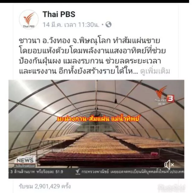 ส้มแผ่น​/มะม่วงกวน​หวานอมเปรี้ยว 1​กก.(2ถุง) 139฿ ‼️กรุณา​อ่าน​รายละเอียด​ก่อน​สั่ง​‼️ของ​พร้อม​ส่ง​ thumbnail 5