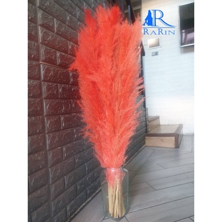 Rarin ดอกเลาย้อมสี สีส้มพีช (จำนวน 10 ก้านเล็ก) ขนาด 90 cm.รวมก้าน ก้านจะเล็ก ขายเป็นกำ เป็นดอกไม้ธรรมชาติย้อมสี