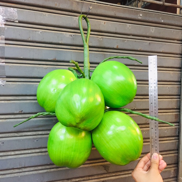 มะพร้าวโมเดล 1ทลาย มี6ลูก ของตกแต่ง