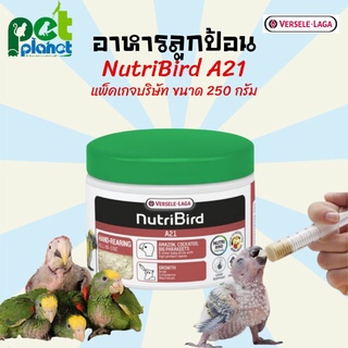 [250g.] แพ๊คบริษัท อาหารนก Nutribird A21 อาหารลูกป้อน อาหารนก ลูกป้อน อาหารลูกนก ของแท้ นมนก A21