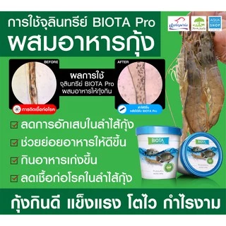 จุลินทรีย์ BIOTA Pro ผสมอาหาร กุ้ง/ปลากินดี แข็งแรง โตไว กำไรงาม