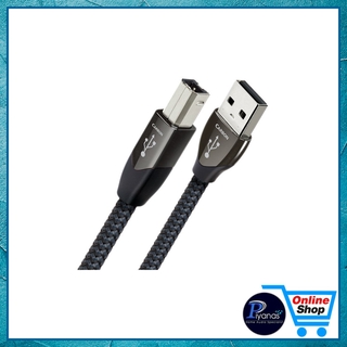 AUDIOQUEST : USB CARBON (0.75M