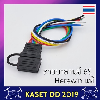 อะไหล่ สายบาลานซ์ แบตเตอรี่ โดรนเกษตร ขนาด 6S  ความยาวสายไฟ 17 ซม. มาพร้อมฝายางกันฝุ่น